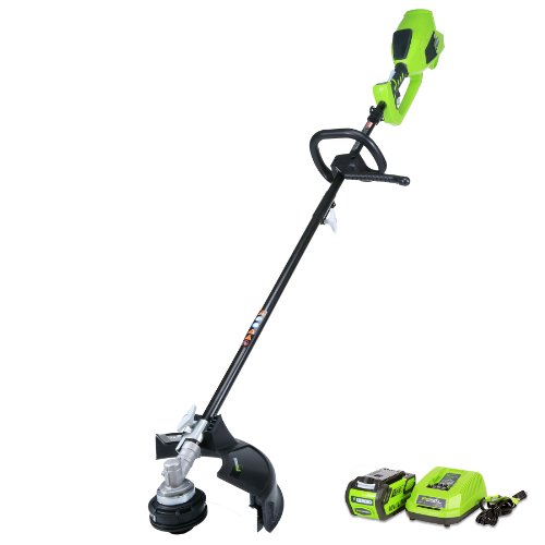Greenworks 21362