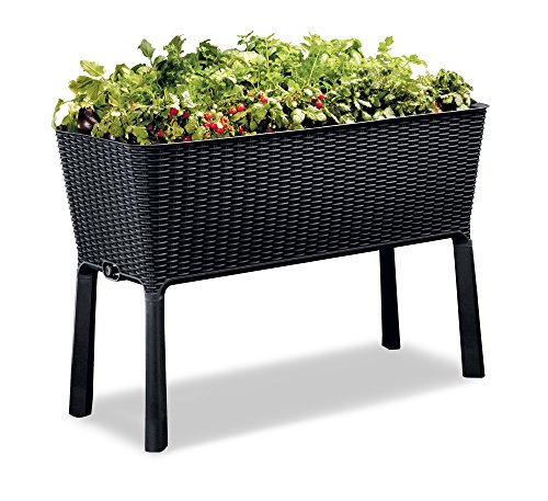 Keter Easy Grow Patio Garden Flower Plant Planter Raised Elevated Garden Bed, Brown