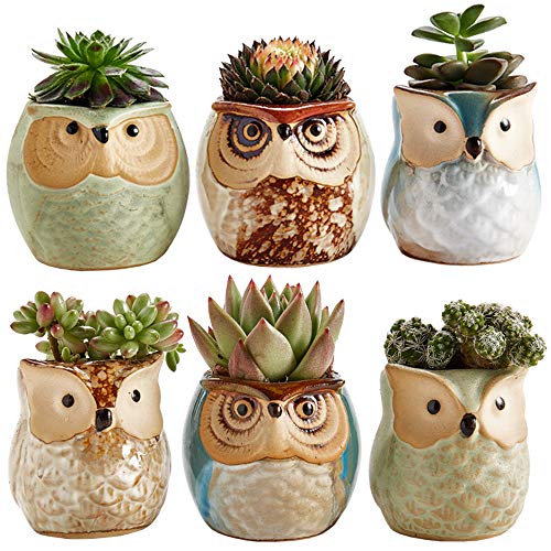 Sun-E 2.5 Inch Owl Pot Ceramic Flowing Glaze Base Serial Set Succulent Plant Pot Cactus Plant Pot Flower Pot Container Planter Bonsai Pots with A Hole Perfect Gift Idea 6 in Set