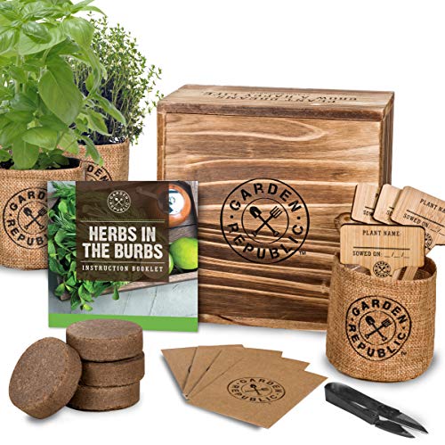 Indoor Herb Garden Starter Kit - Organic, Non GMO Herb Seeds - Basil Thyme Parsley Cilantro Seed, Potting Soil, Pots, Scissors - DIY Grow Kits for Growing Herbs Indoors, Kitchen, Balcony, Window Sill