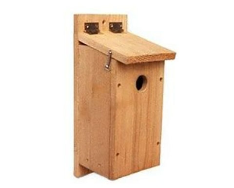 70 Birds Chickadee Nuthatch Birdhouse