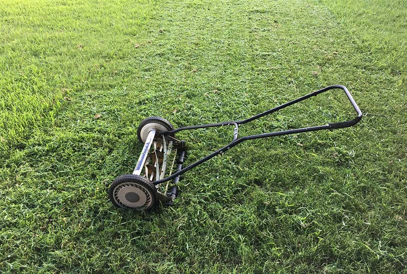 a black push lawn mower on grass