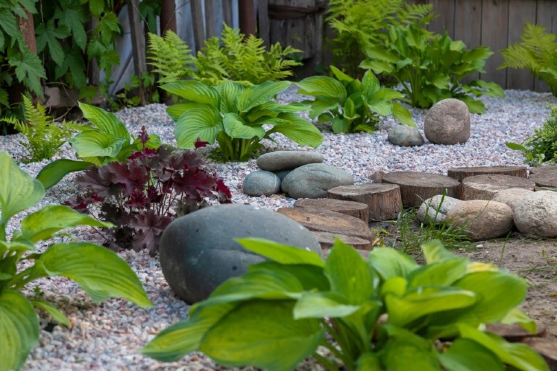beautiful rock garden oudoors