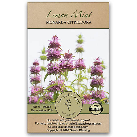 Bee Balm