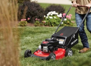 Best Lawn Fertilizer