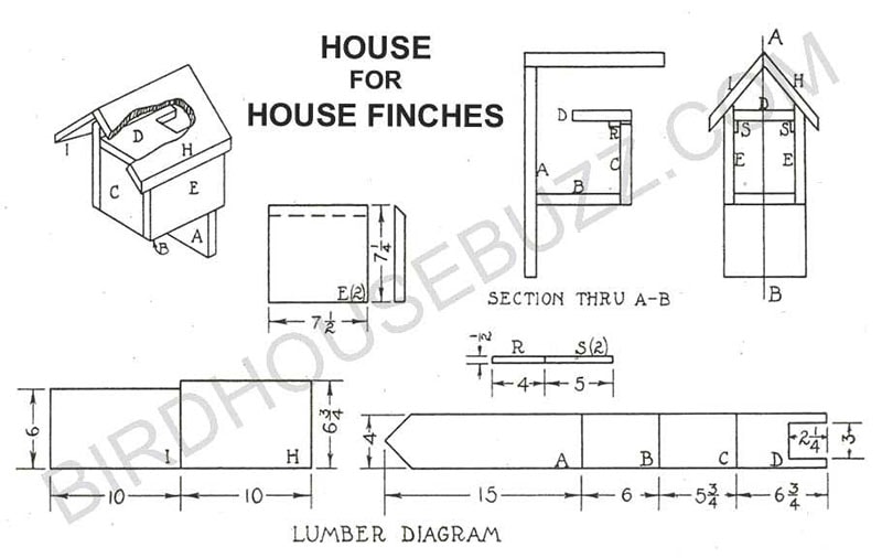 Birdhouse Buzz Finch Bird House Plans