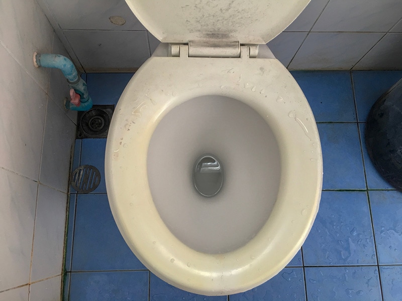 black molds on toilet bowl