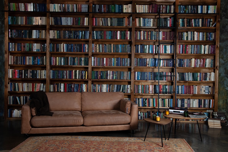 Bookshelves in the library. Large bookcase with lots of books. Sofa in the room for reading books