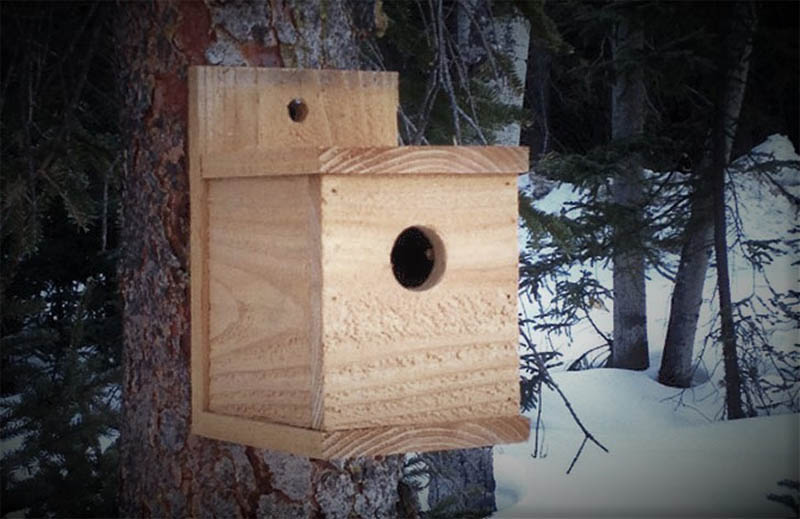 Box Birdhouse