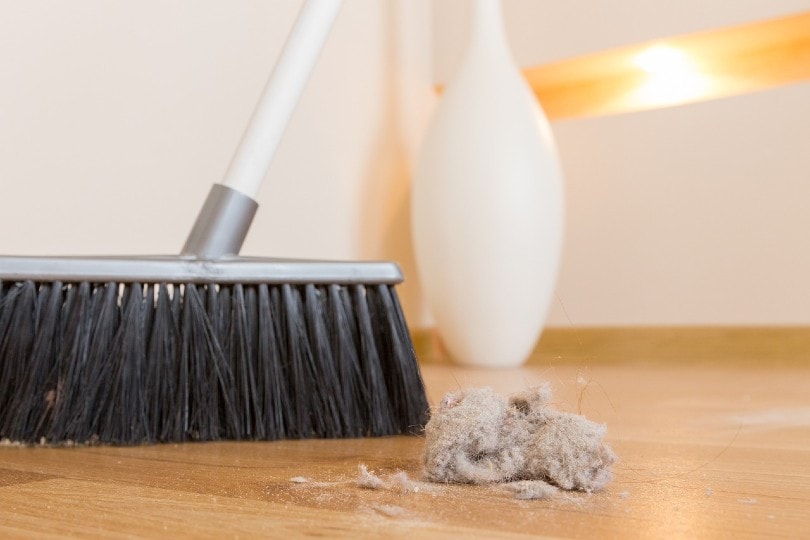 broom cleaning lots of dust and dirt in the house