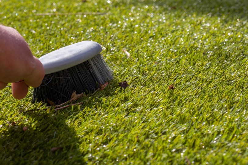 brushing artificial grass