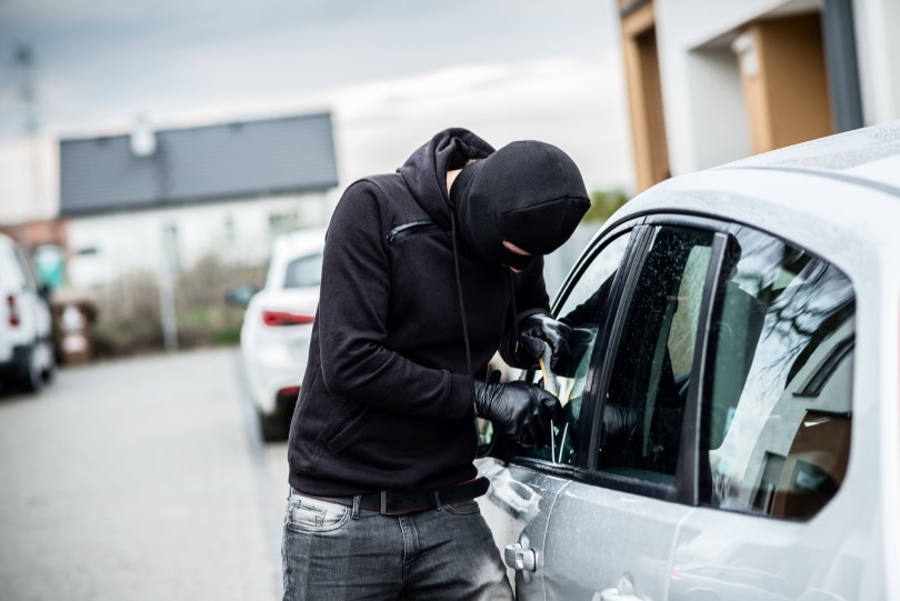 car theft