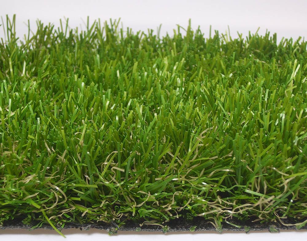 carpet grass