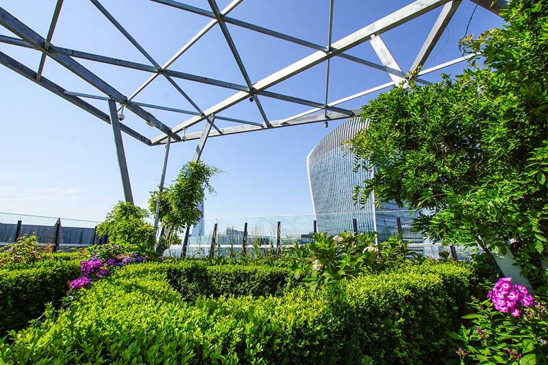 City Rooftop garden