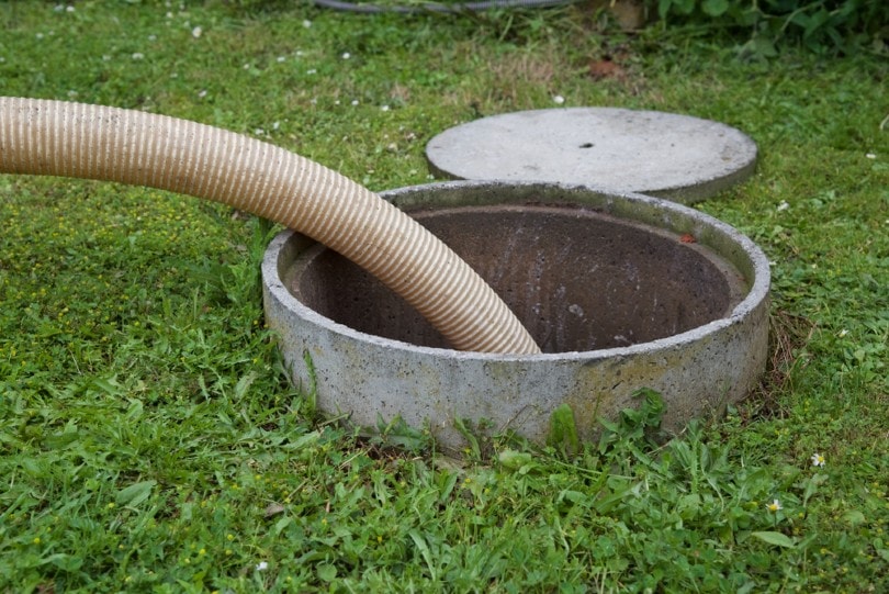 cleaning septic tank