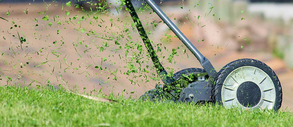 close up cutting grass with lawn mower