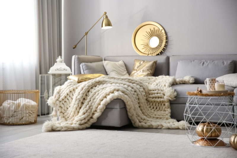 Cozy living room interior