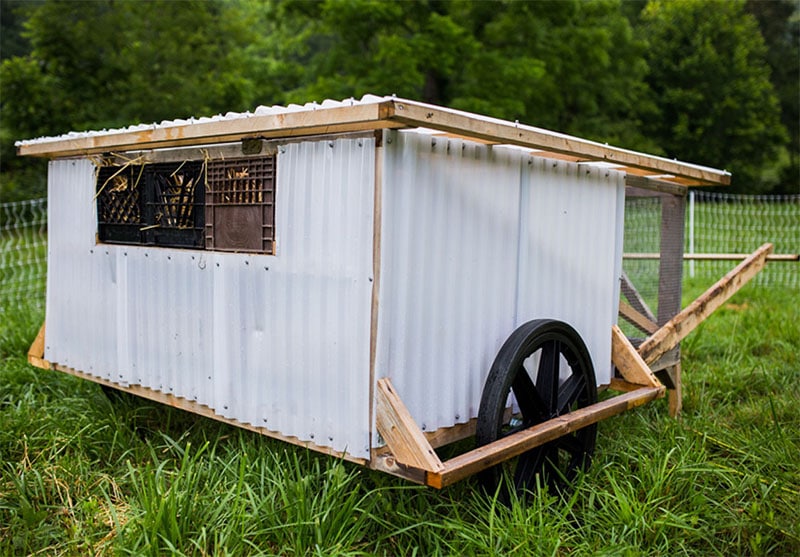 DIY ChickShaw by Abundant Permaculture