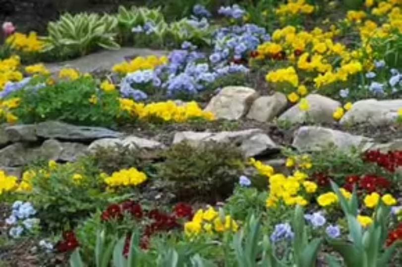 diy rock garden