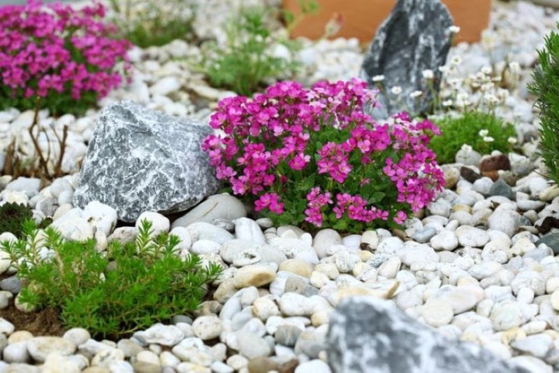 diy rock gardens