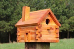 DIY bird house