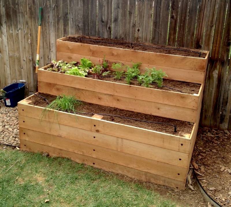 DIY cedar raised garden beds