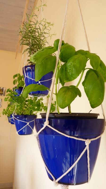 DIY indoor hanging herb garden