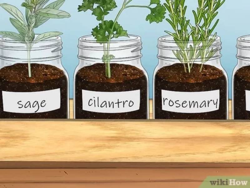 DIY mason jar herb garden