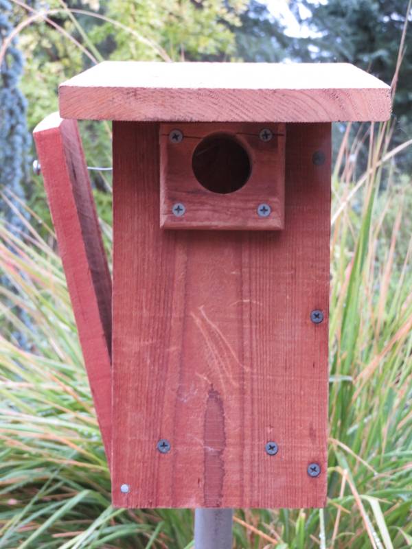 DIY nest box