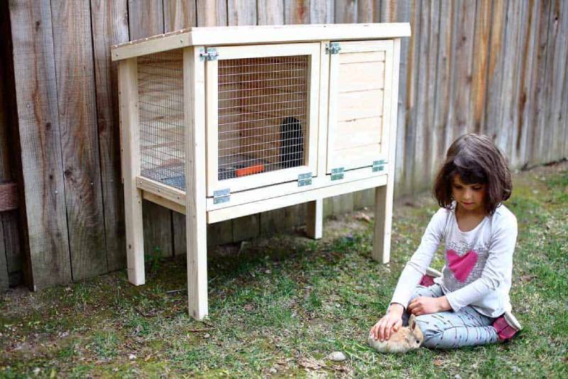 DIY rabbit hunch