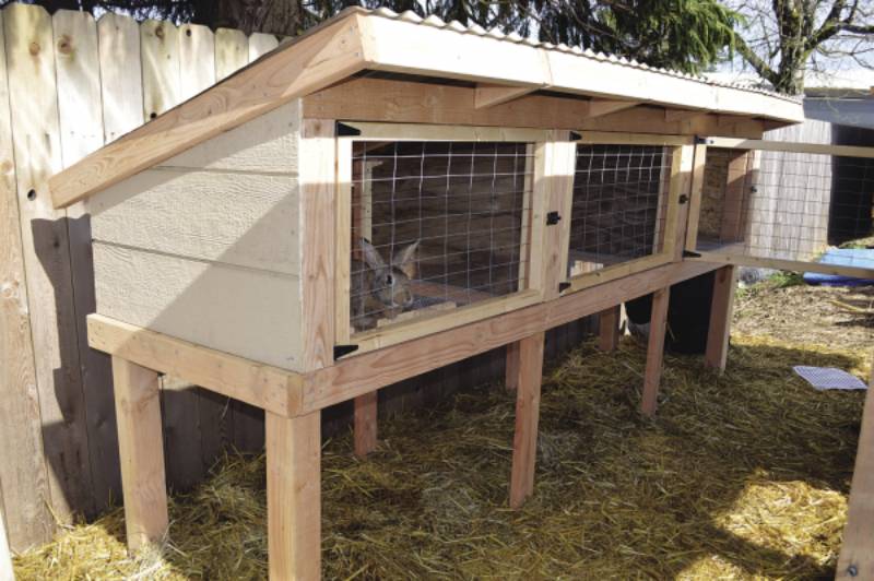 DIY rabbit hutch and tractor