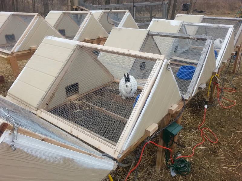 DIY super great a-frame rabbit hutch