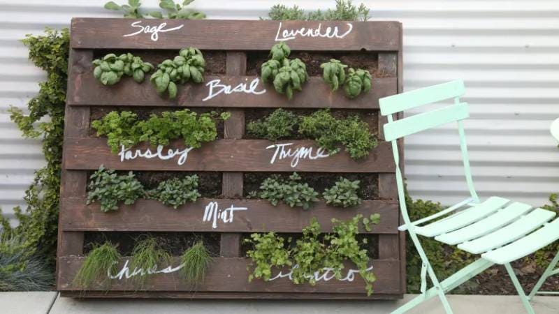 DIY wood pallet herb garden
