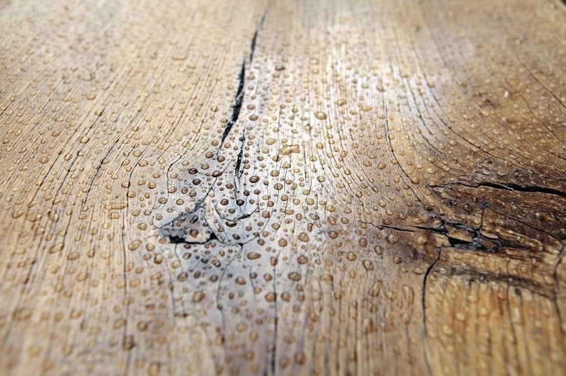 drops-wood-pixabay