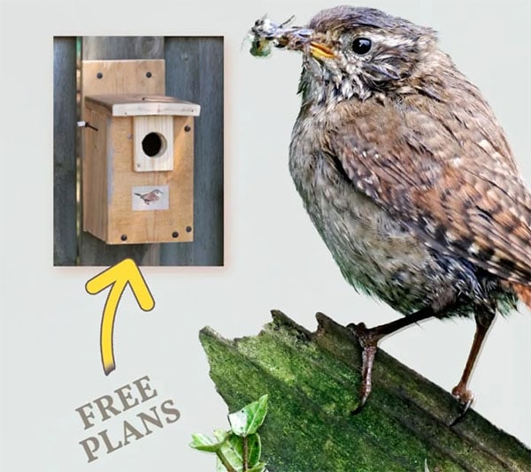 Empress of Dirt Make a Wren Nesting Box (Free Plans)