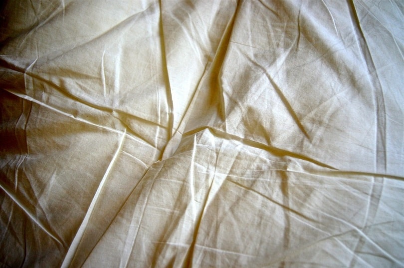 fabric-crumpled-pixabay