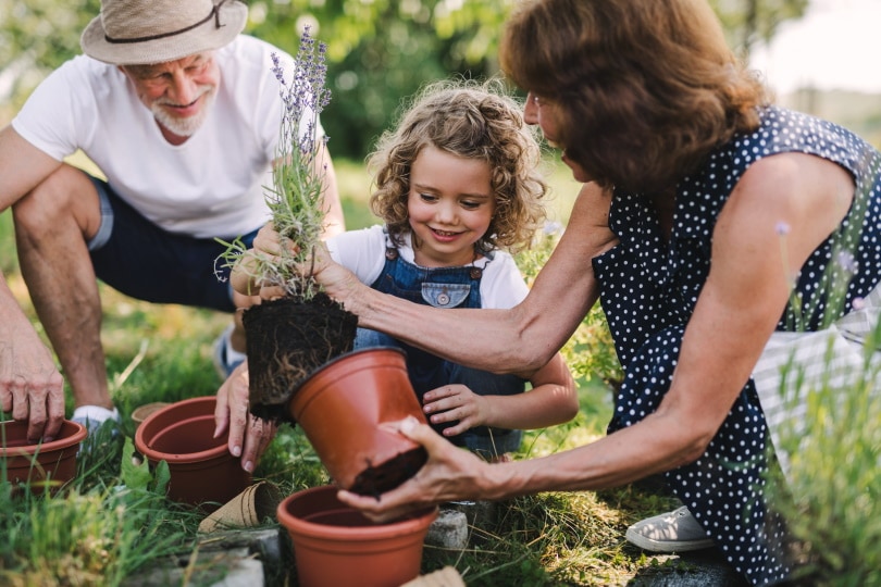family gardening at the backyard