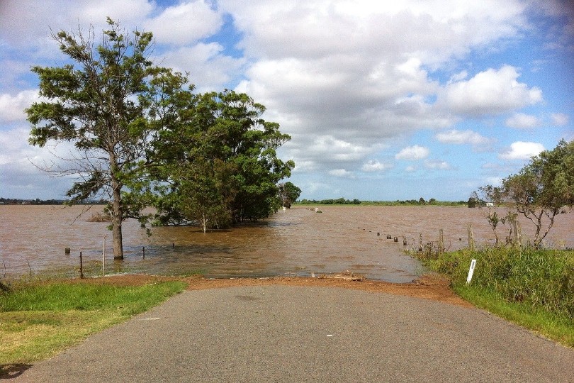 flood in wetlands