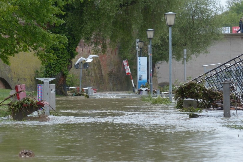 flooded road
