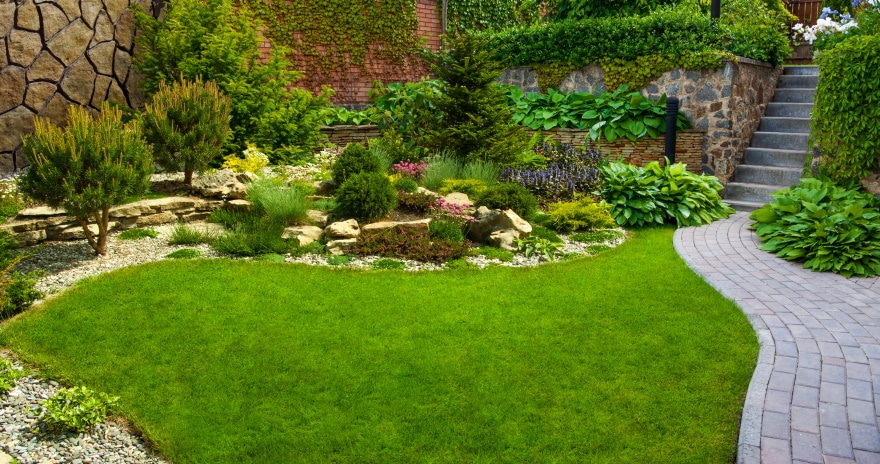 garden with stone path