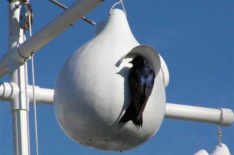 Gourd Birdhouse