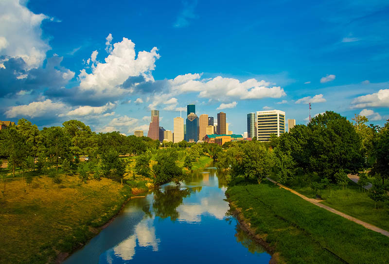 green trees in houston texas