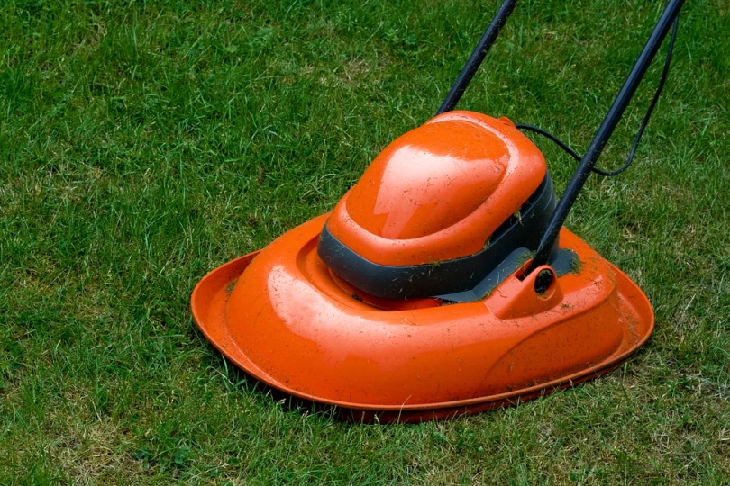 hover lawn mower