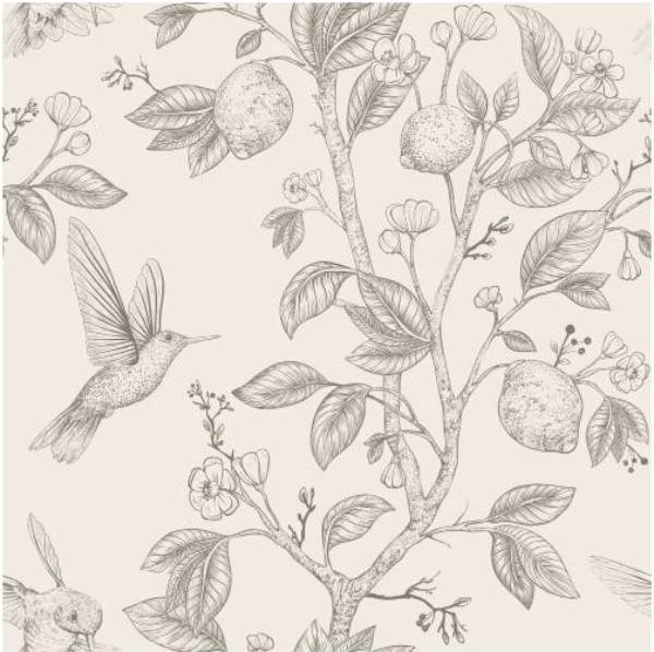 Hummingbirds and Flower Wallpaper