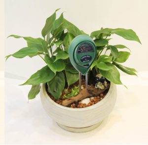 iPower Soil pH Meter in plant