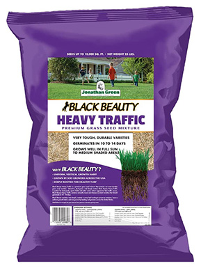 Jonathan Heavy Traffic Green Grass Seed