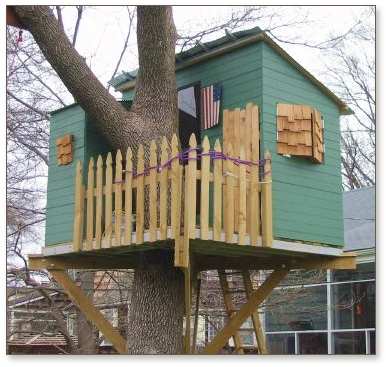 Kauri Tree House Plans
