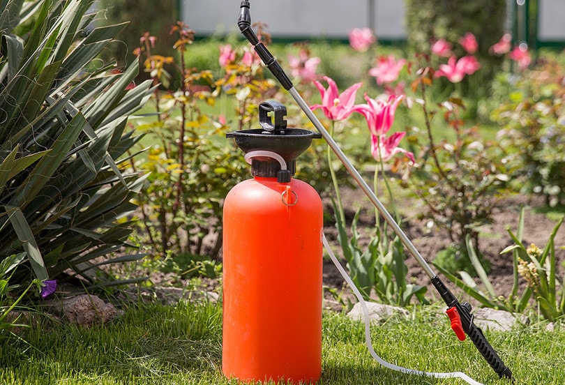 Lawn Fertilizer
