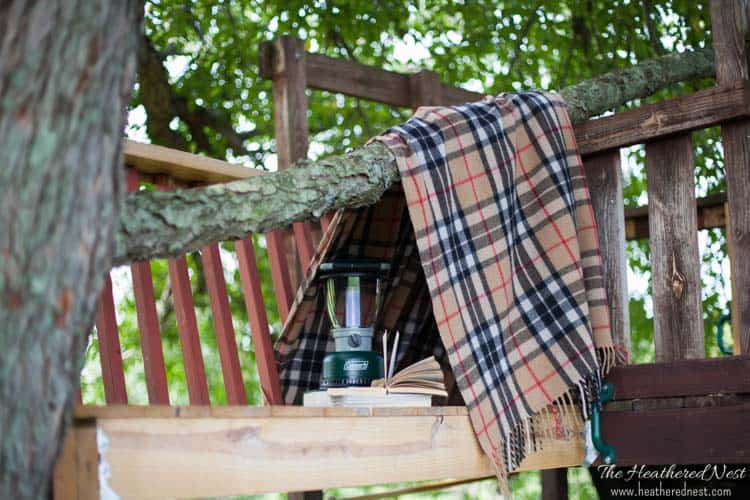 Low-Budget Tree House