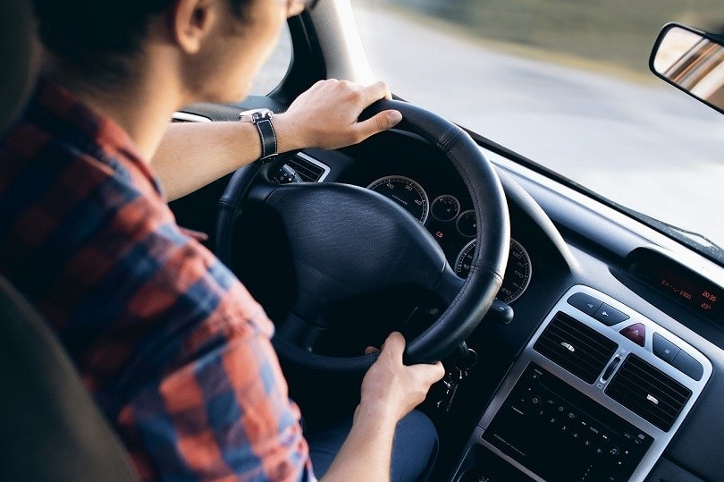 Male driver